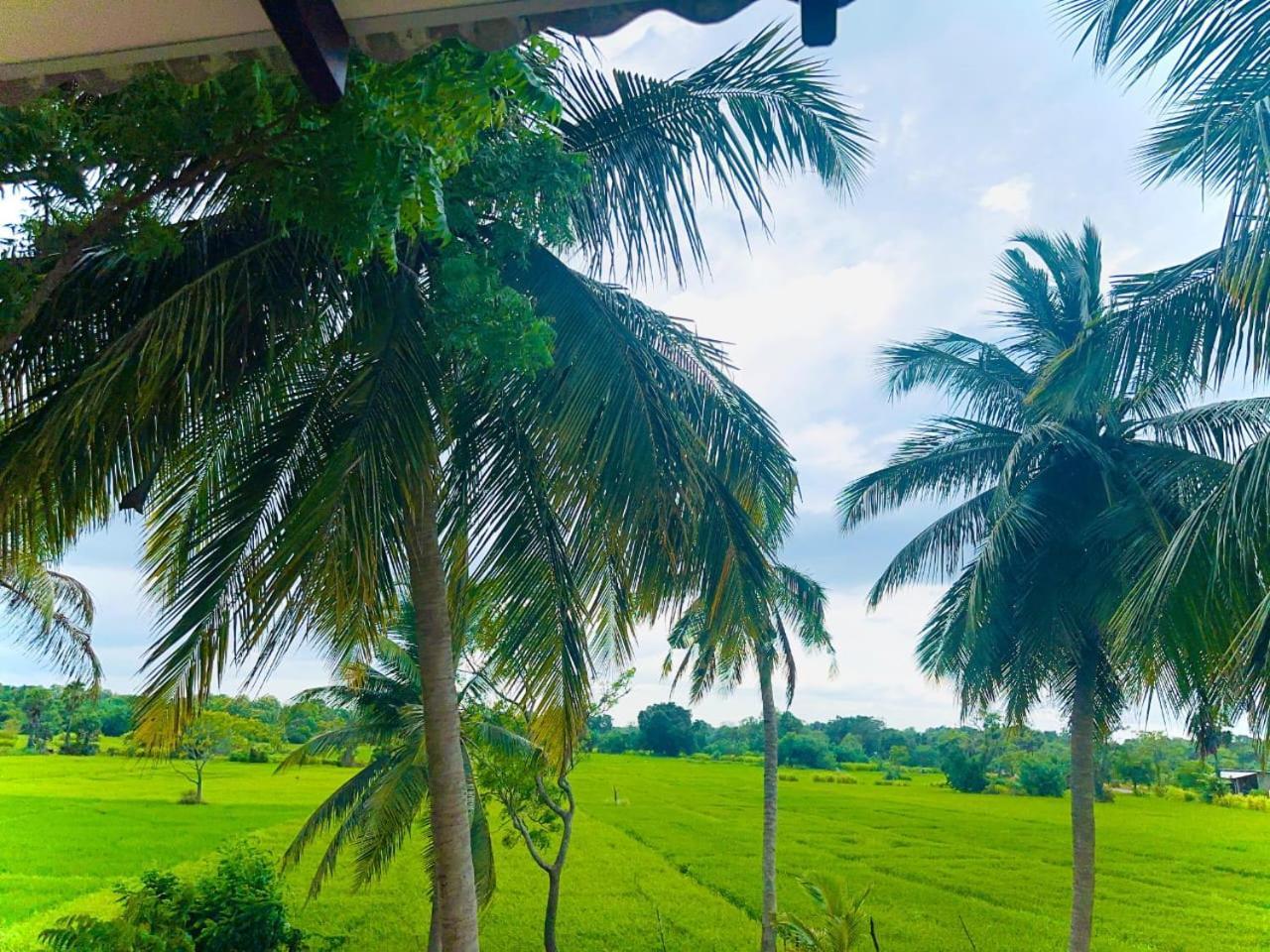 The Blue Sapphire Of Wilpattu Hotel Exterior foto